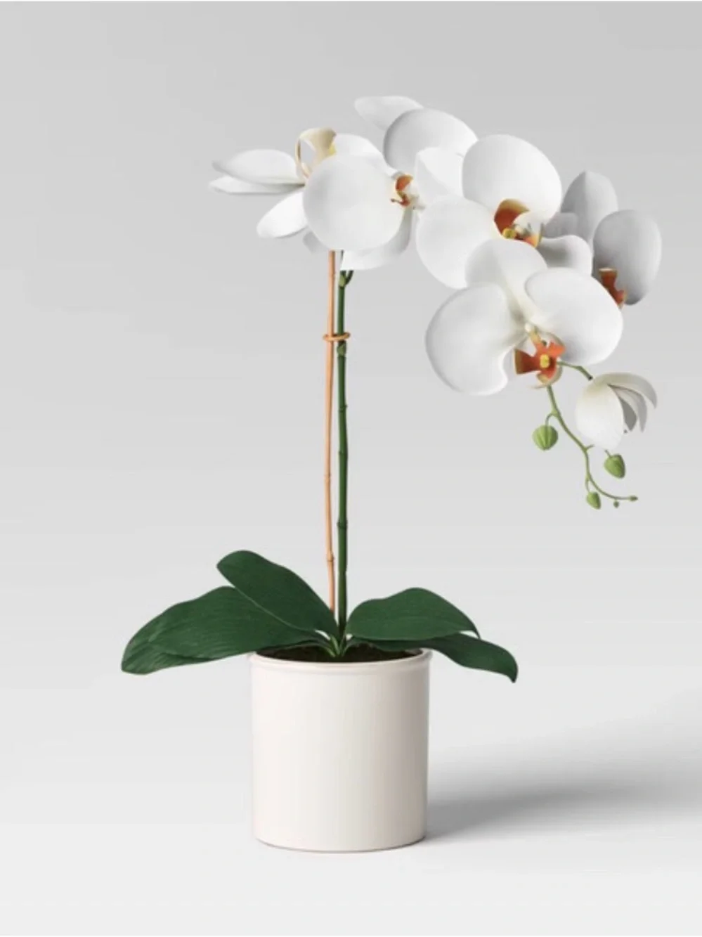 Threshold Tabletop Arrangement White Phalaenopsis Orchid Faux Plant in Cream Pot